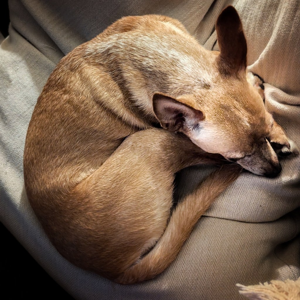 When the glow needs ground: Finding rest without&nbsp;guilt